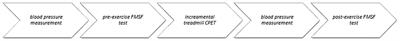 The Effect of Exercise on the Skin Content of the Reduced Form of NAD and Its Response to Transient Ischemia and Reperfusion in Highly Trained Athletes